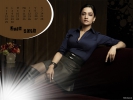 The Good Wife | The Good Fight Calendriers 