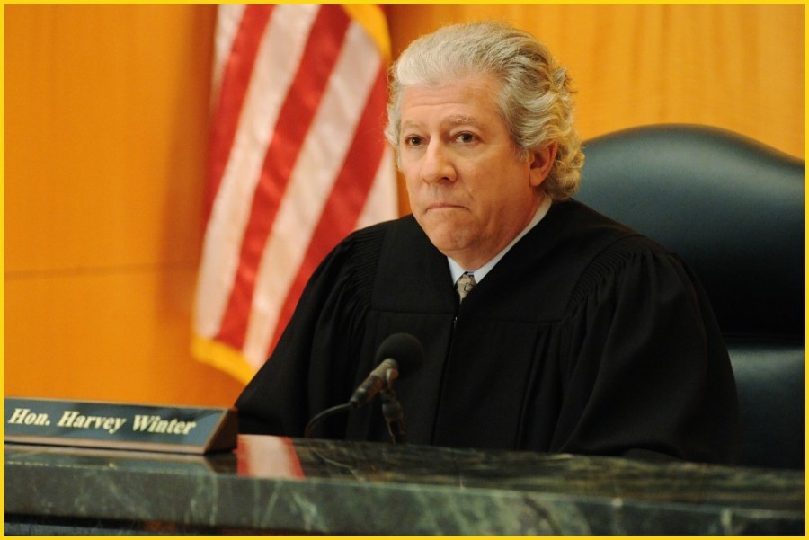 Le Juge Harvey Winter (Peter Riegert) siège au tribunal